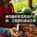 神马股份布局尼龙产业链,工程塑料或成全资子公司(图4) 神马股份布局尼龙产业链,工程塑料或成全资子公司(图4)