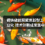 钢铁储能展聚焦新型工业化 技术创新成果集中亮相(图3) 钢铁储能展聚焦新型工业化 技术创新成果集中亮相(图3)