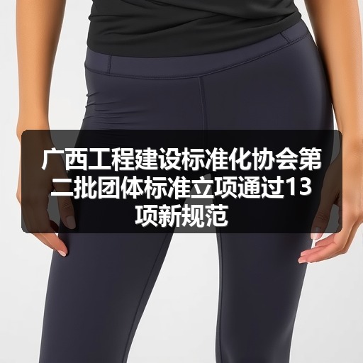 广西工程建设标准化协会第二批团体标准立项通过13项新规范