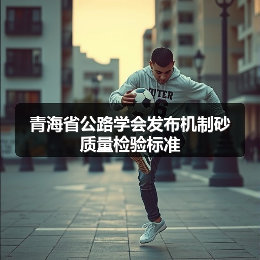青海省公路学会发布机制砂质量检验标准 青海省公路学会发布机制砂质量检验标准