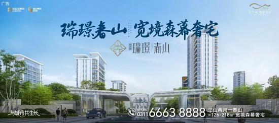 房地产市场筑底企稳，风险出清与转型发展成关键